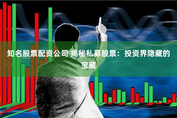 知名股票配资公司 揭秘私募股票：投资界隐藏的宝藏