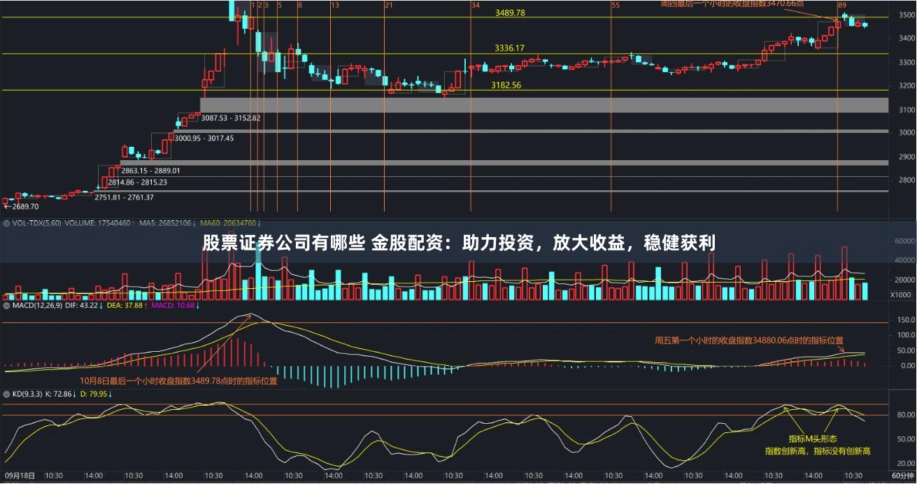 股票证券公司有哪些 金股配资：助力投资，放大收益，稳健获利