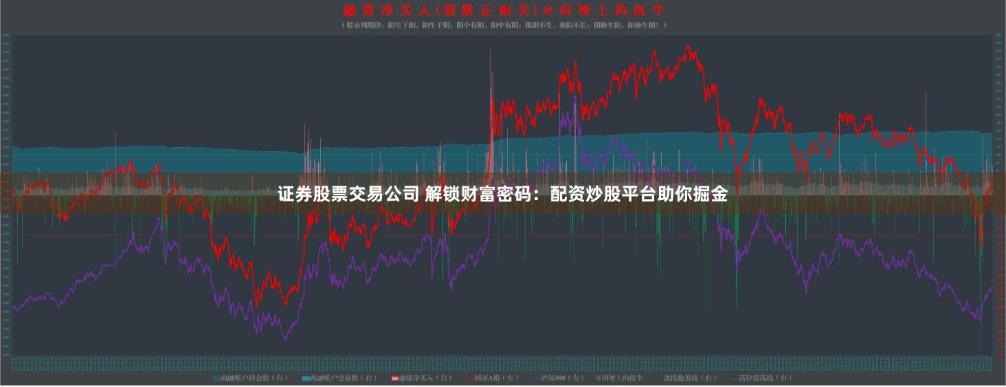 证券股票交易公司 解锁财富密码：配资炒股平台助你掘金