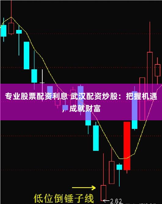 专业股票配资利息 武汉配资炒股：把握机遇，成就财富